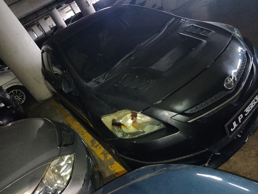 TOYOTA VIOS 1.5 G (A)